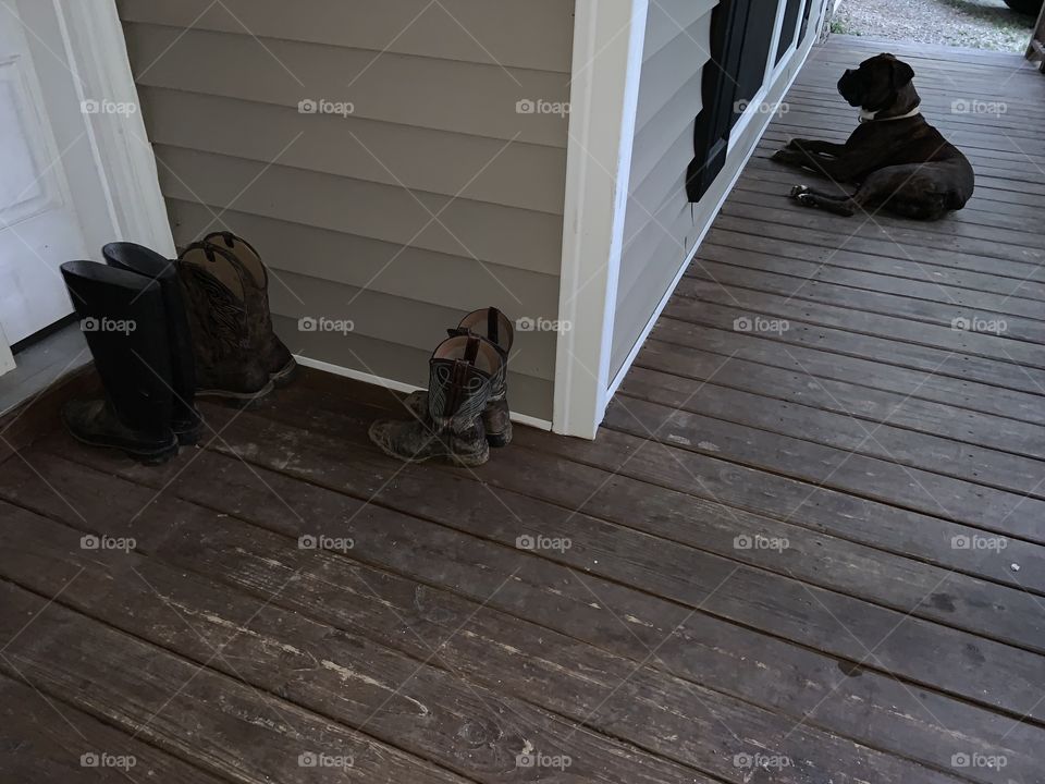 Boots, Deck, and Dog in North Georgia