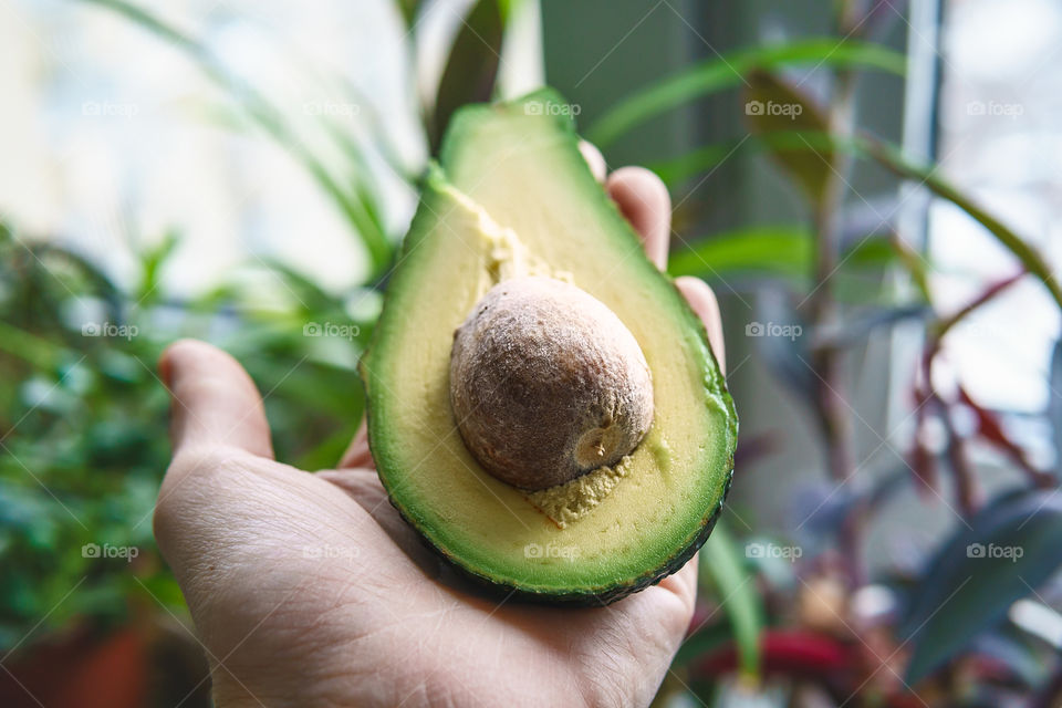 Avocado on the hand