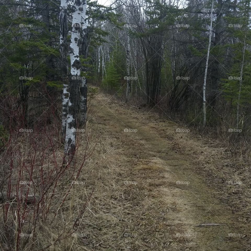trail view