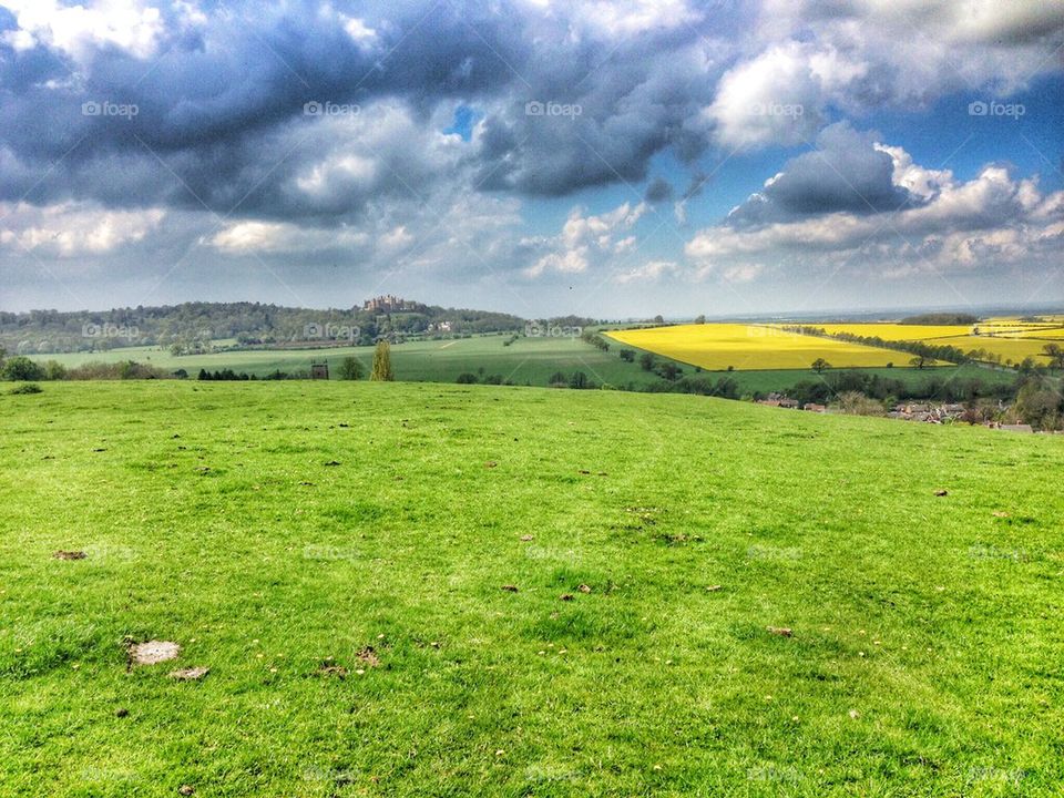 Scenic view of nature