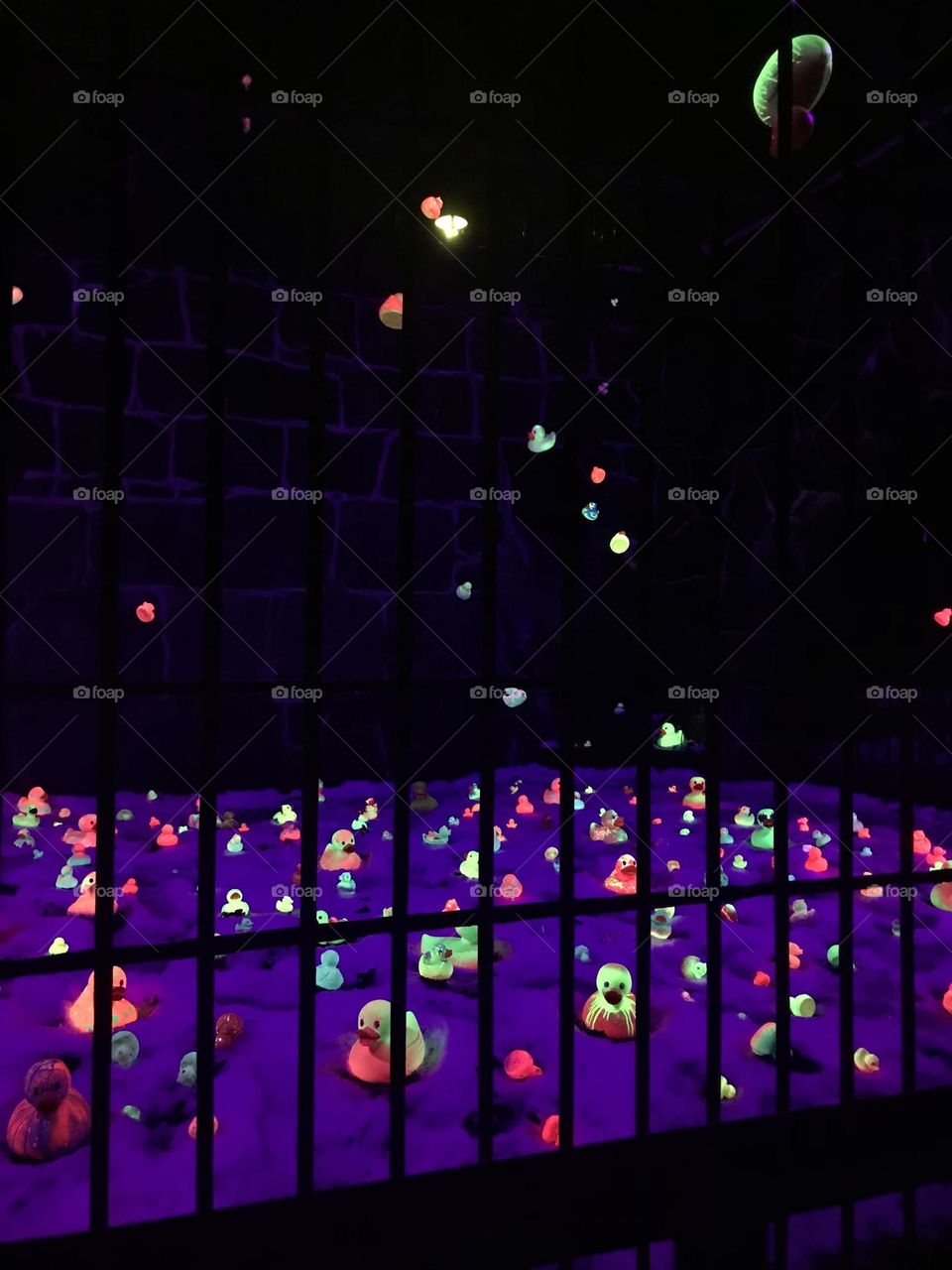 All the ducks are swimming in the water, Neon ducks- Lux Korkeasaari