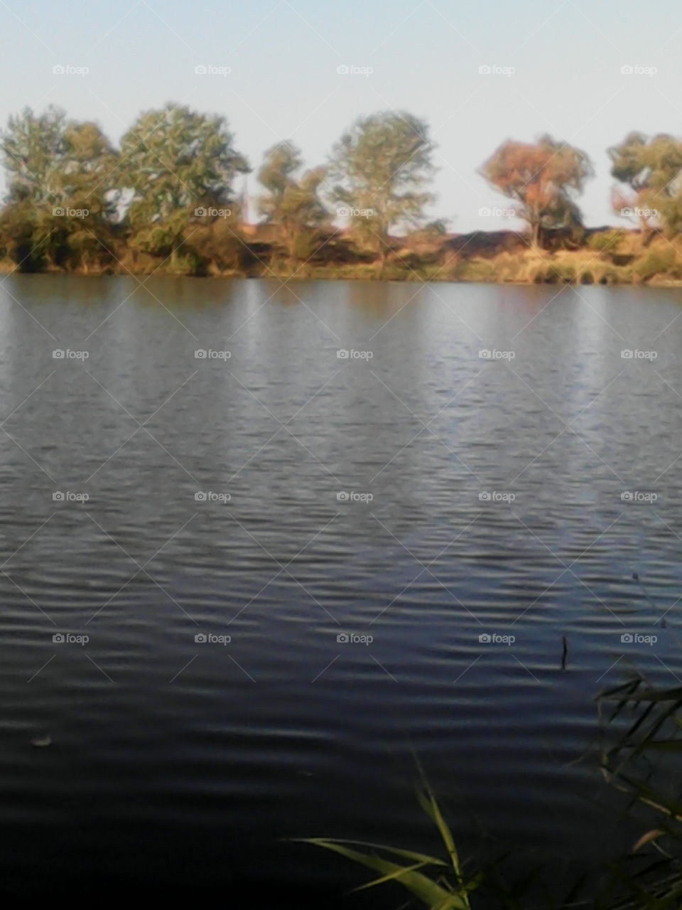 Summer lake is a good place for fishing and recreation