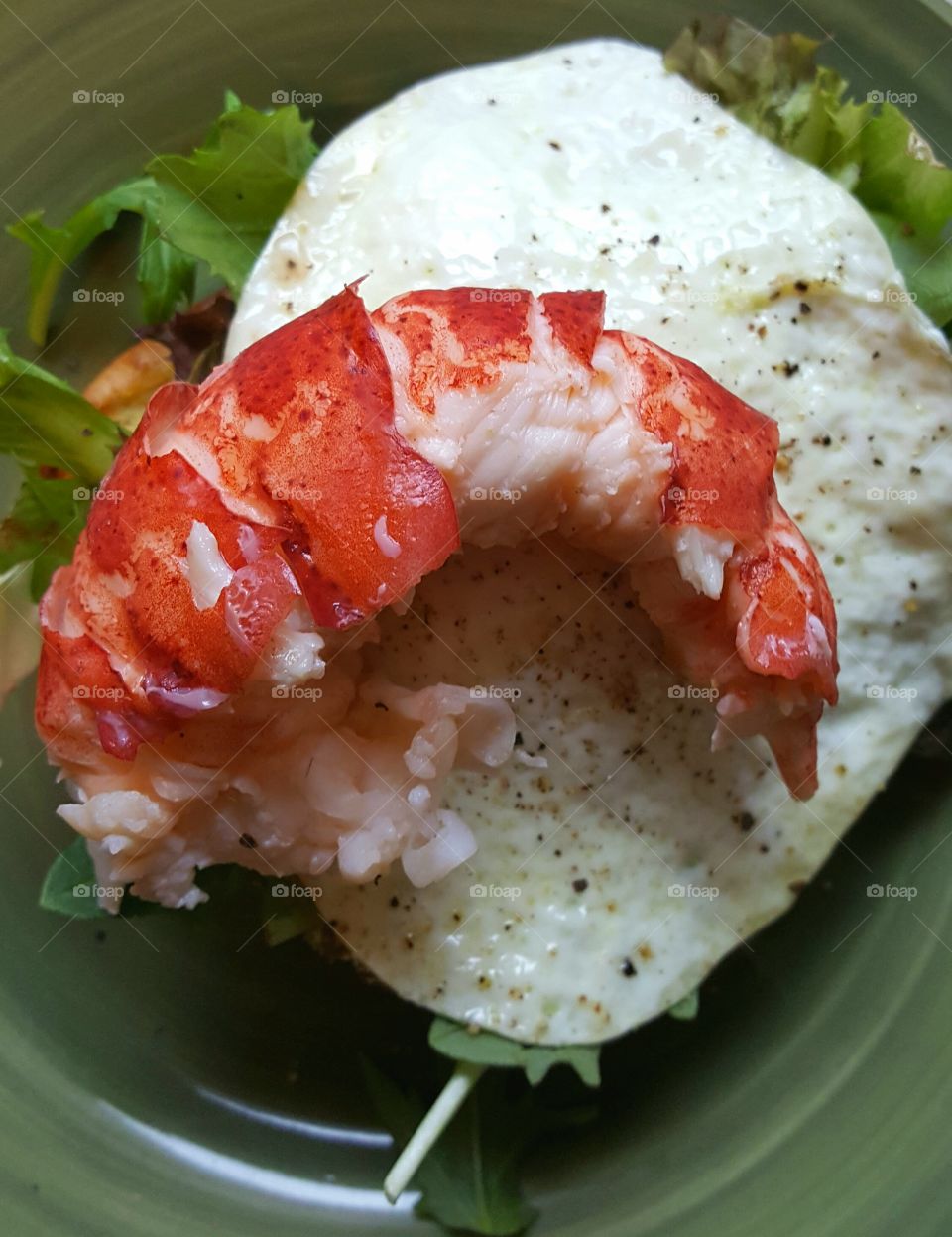 egg over medium on a bed of greens with a lobster tail