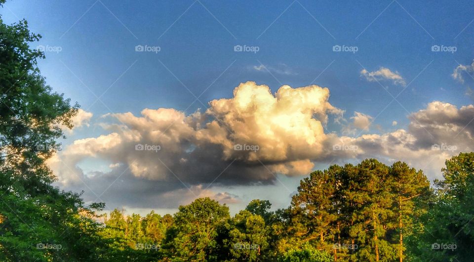 summer sky with clouds