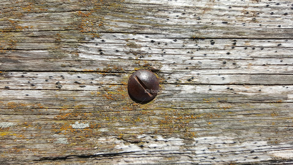 Nail in old wood
