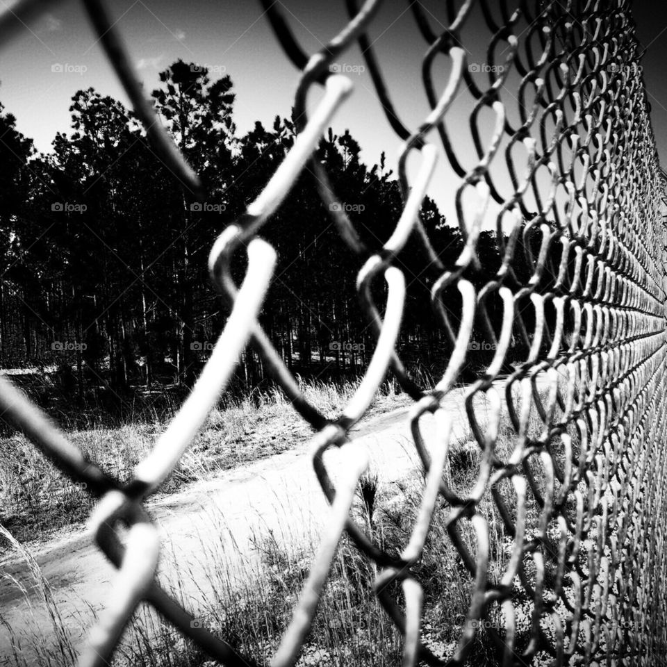 Fenced in