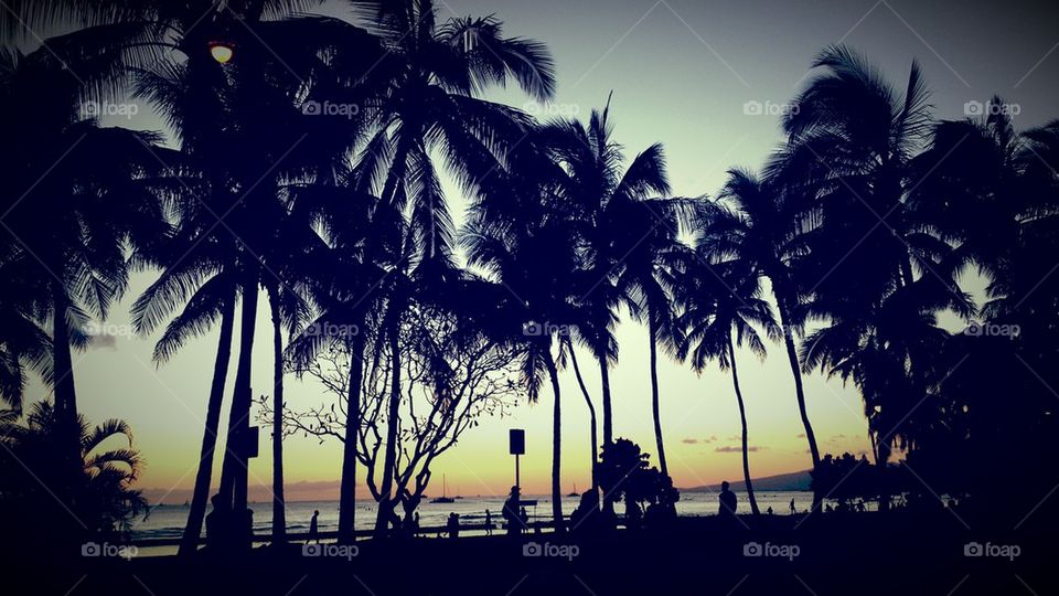 Hawaii Sunset