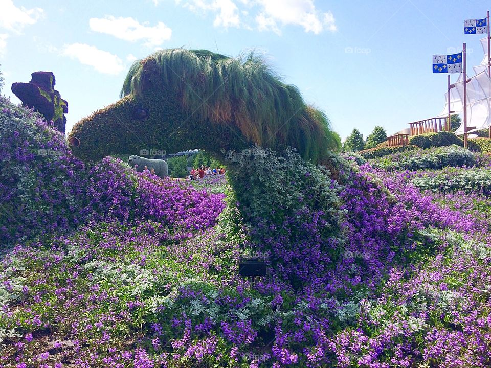 Horses plant and flower sculptures 
Mosaiculture exhibit 