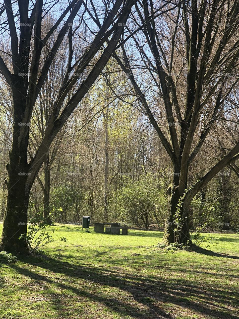 This picnic table reminded me of a secret garden because it was hidden quite deep in the forest. Beautiful find.