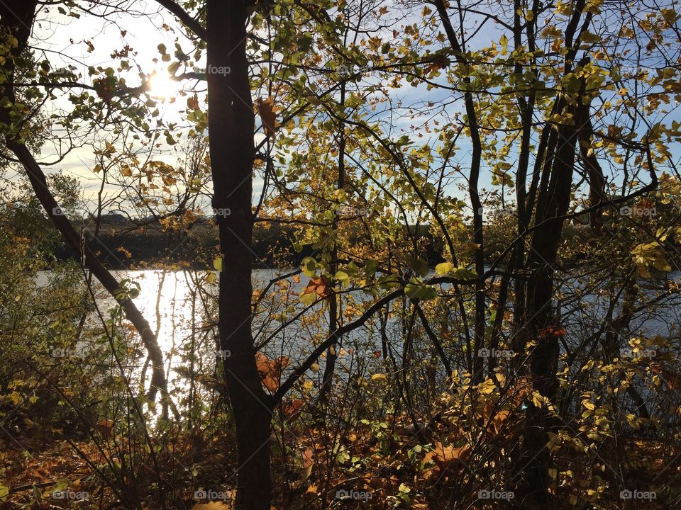 When autumn comes, I bloom anew; The Russian frost does wonders for my health;  Anew I fall in love with life's routine... A.Pushkin