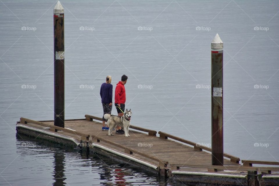 Dog on the dock