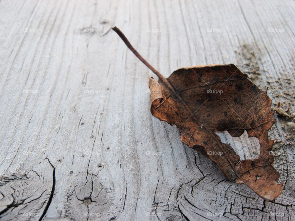 A crumbling leaf on a wooden board