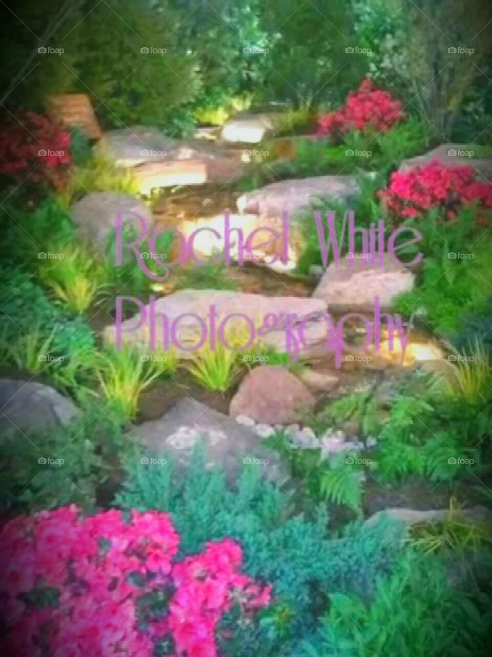 Share your Spring with NIVEA