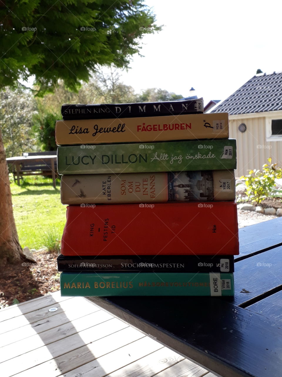 Lovely stash of books from local library