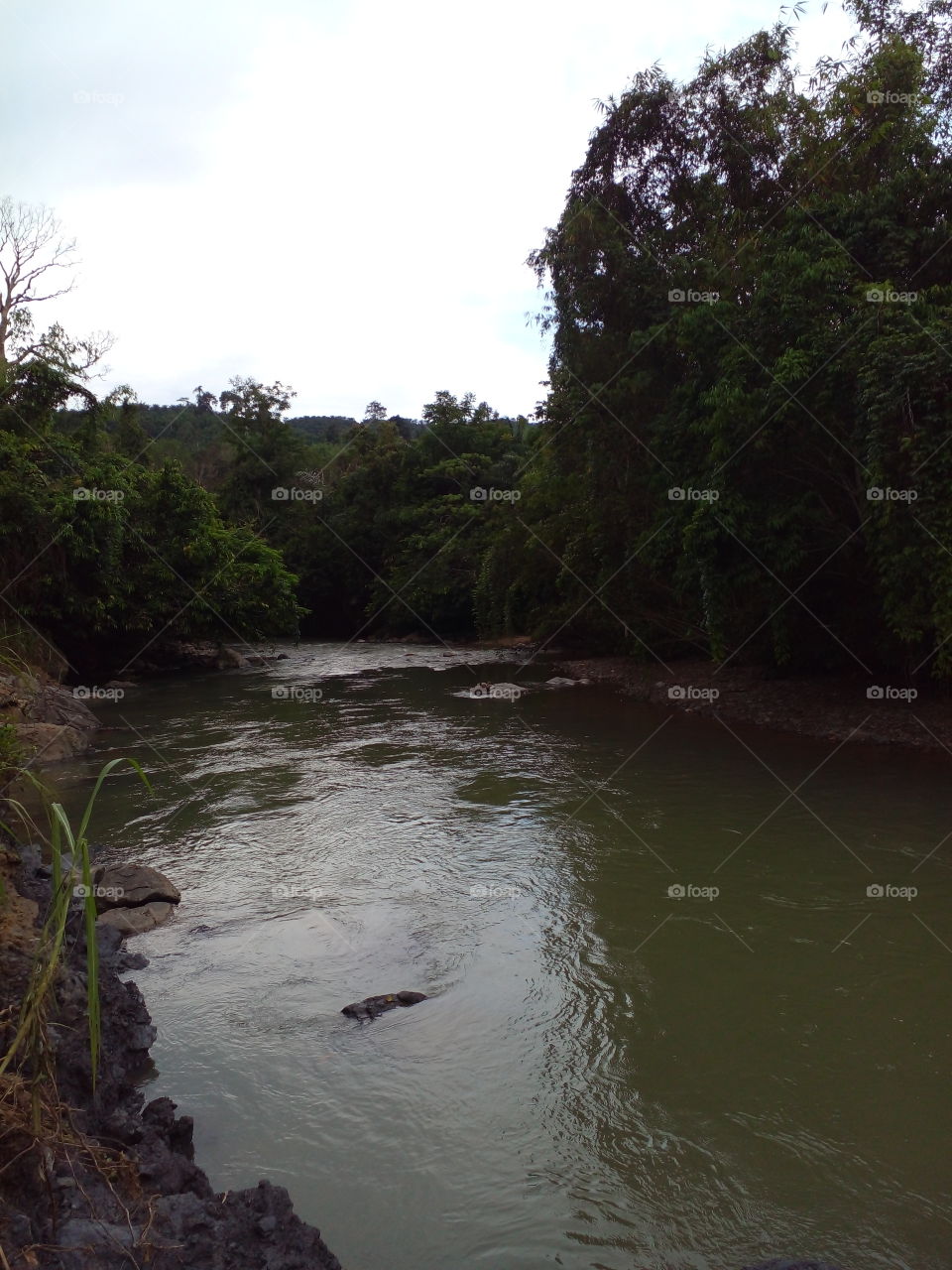 beautiful evening view by the river..what a wonderful day enjoying the greatest magical moments...