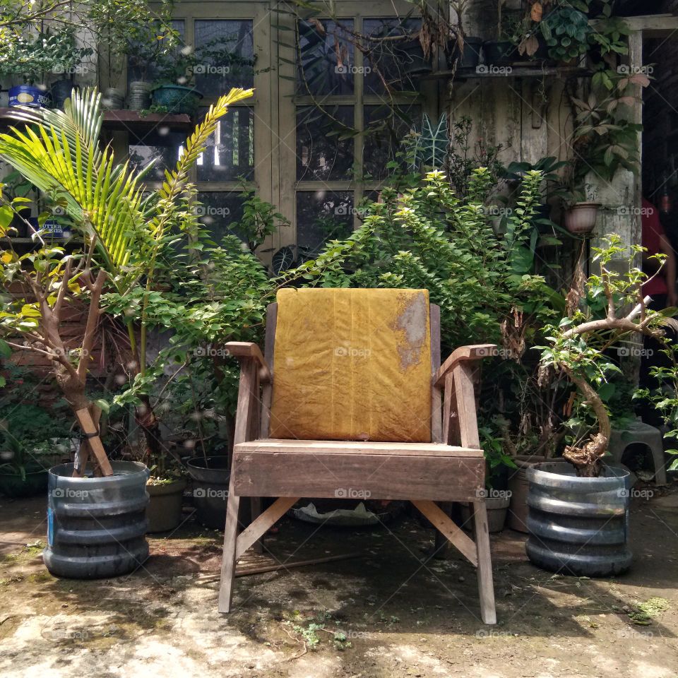an old chair against the plants and wooden window