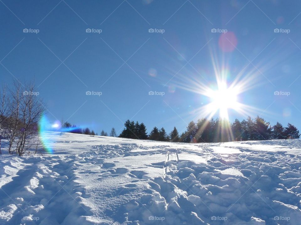 Winter landscape