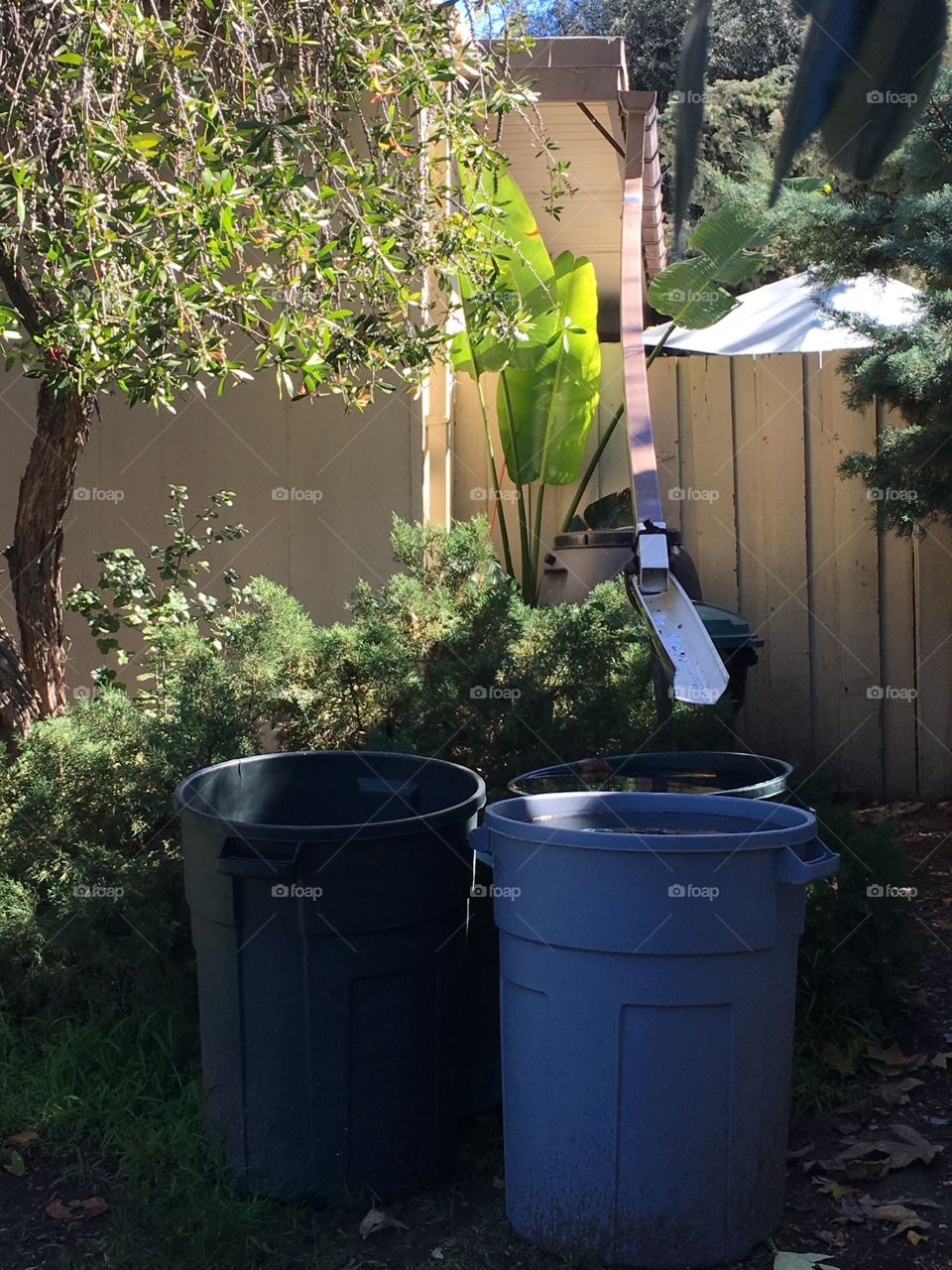 When it rains in Southern California 