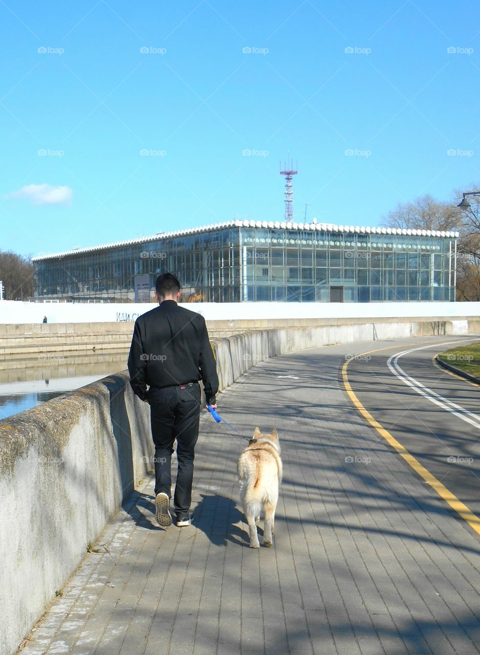 Dog, Street, People, City, Road