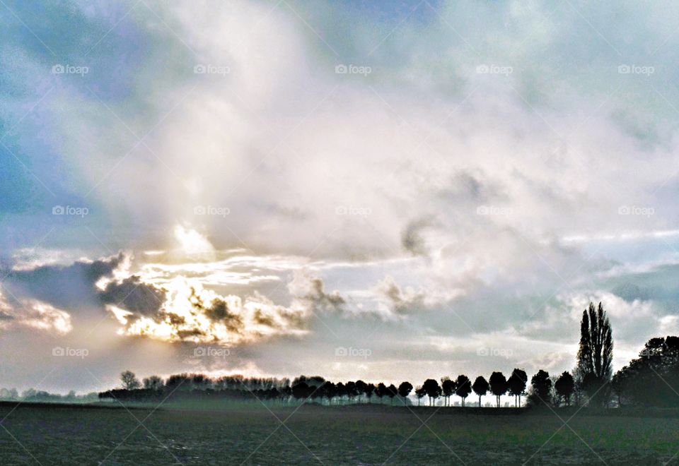 Silhouette Landscape - Flanders