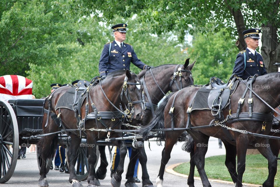 Arlington Caisson