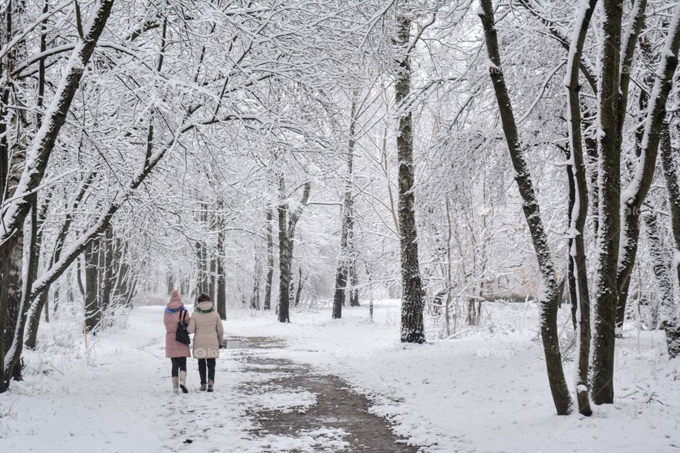 morning walking people in winter park