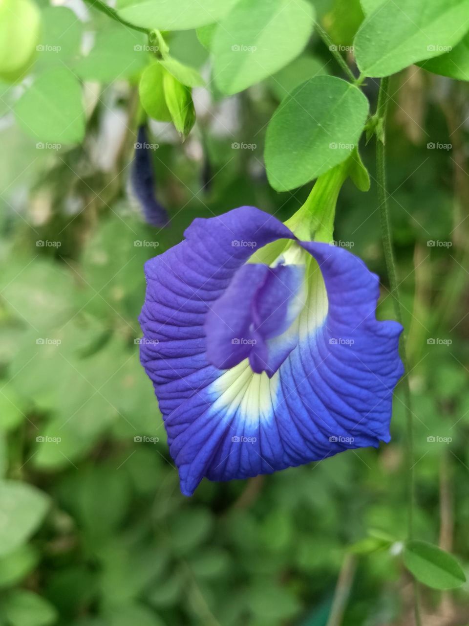 Upload the photo of the month November