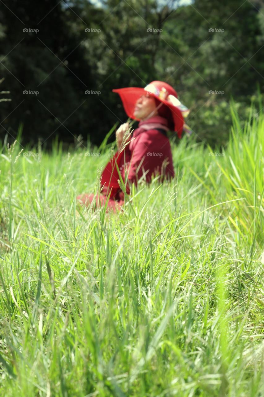 rice paddy