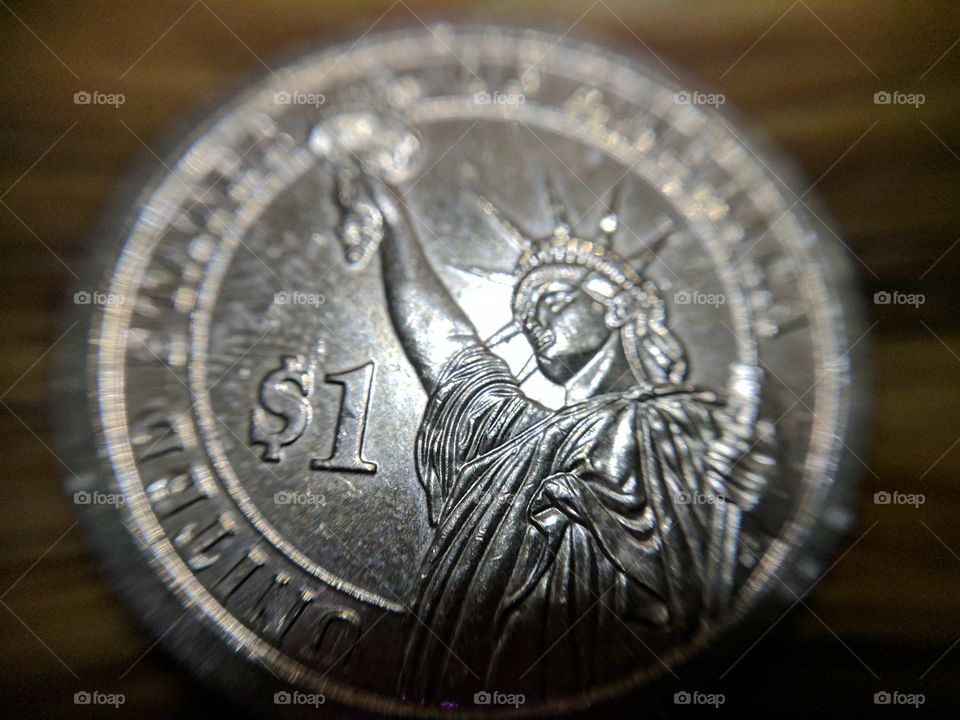 back of a 1 dollar coin macro