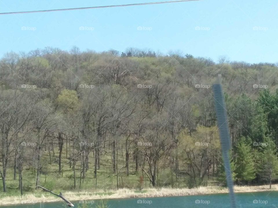 Landscape, Tree, Nature, Environment, Sky