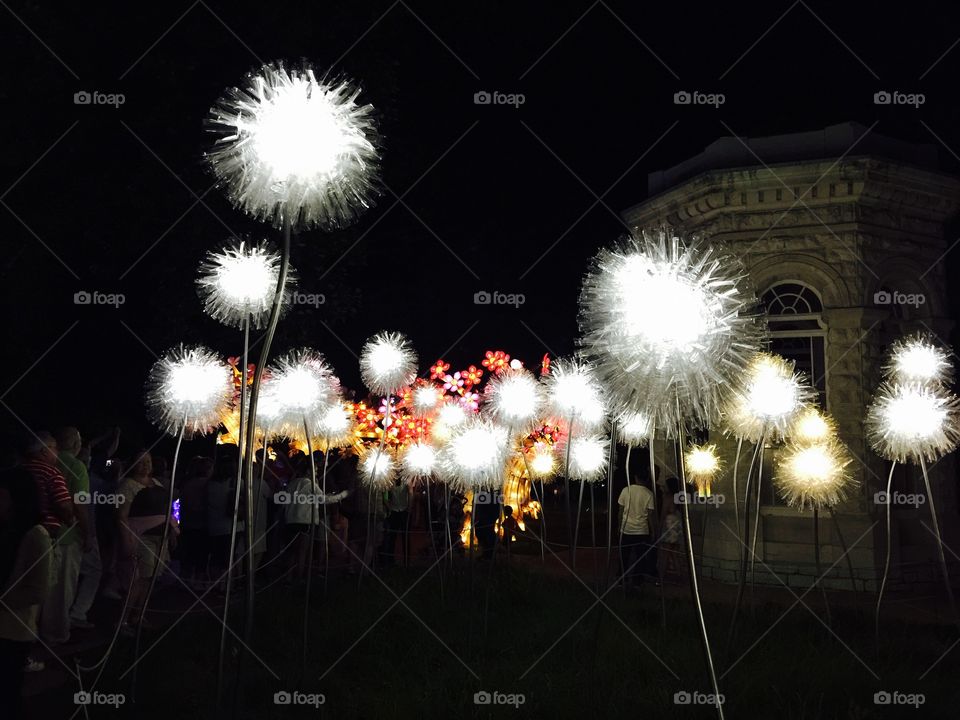 Chinese Lantern Festival
St Louis