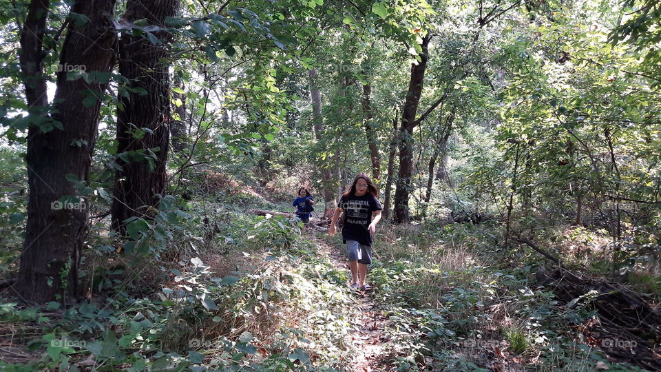 Wood, Nature, Tree, Hike, Landscape