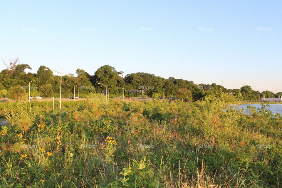 Landscape, No Person, Nature, Grass, Sky