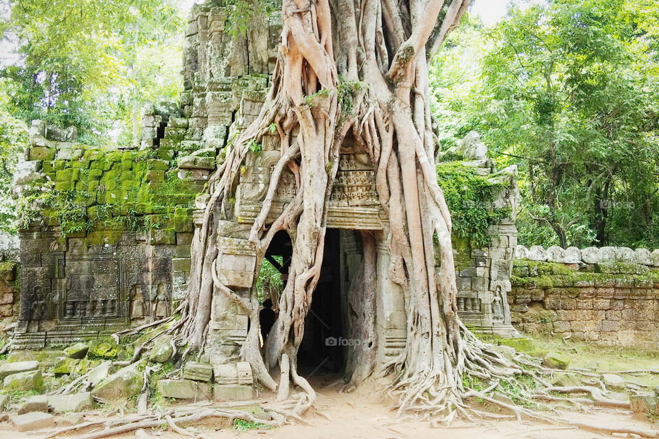 Ta Som - Siem Reap - Cambodia