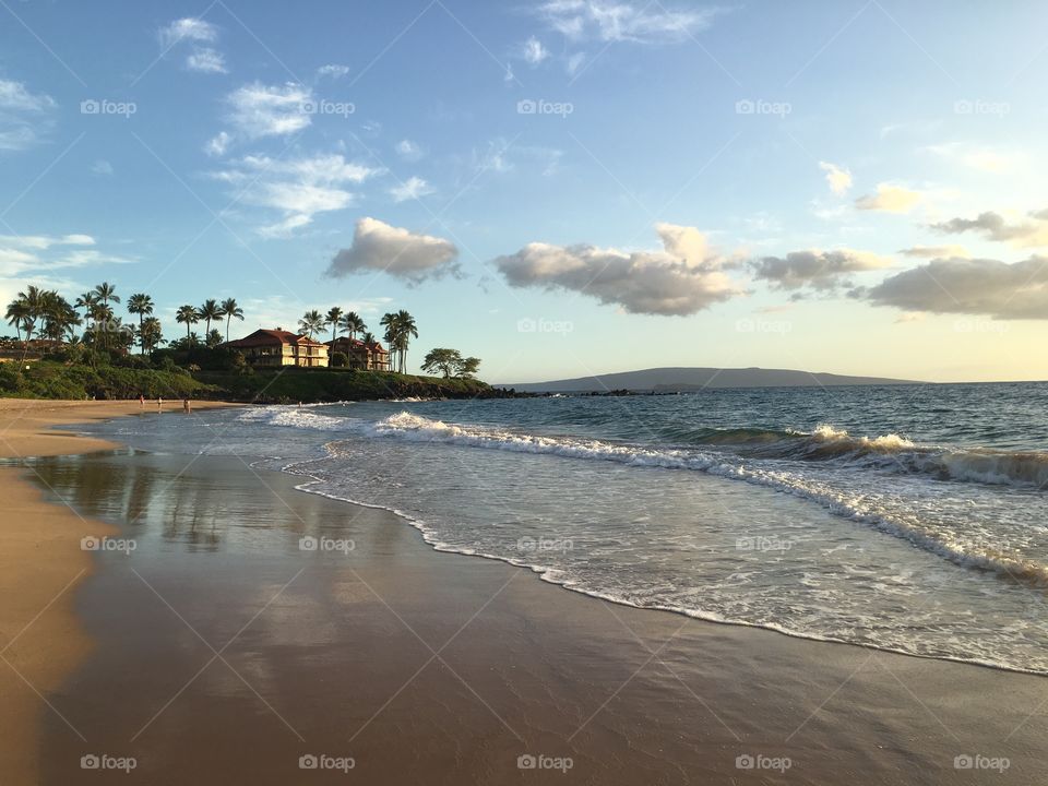 Scenic view of a coastline