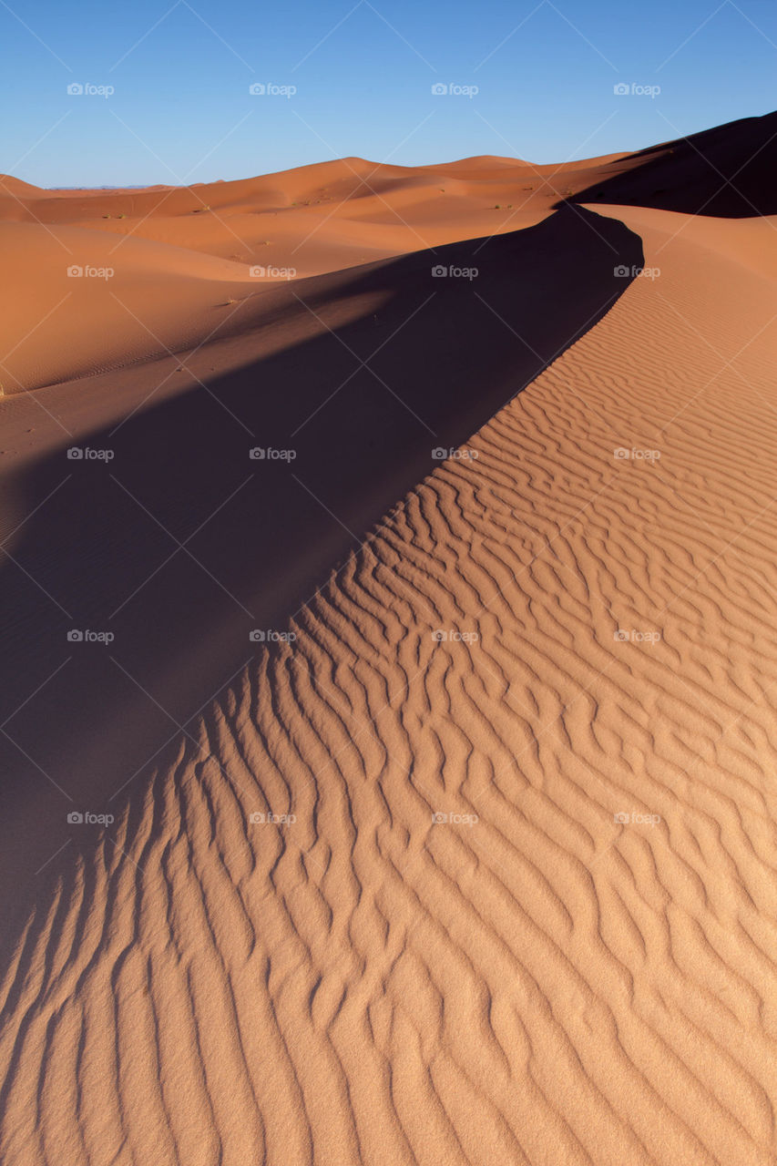 Sand dune in the Sahara desert