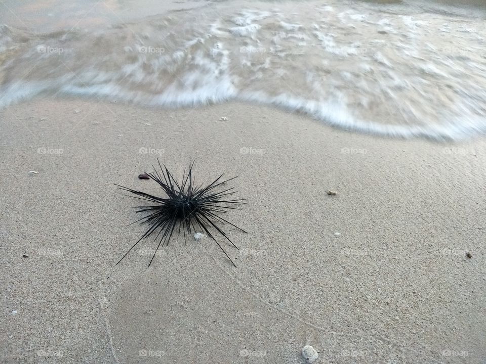 nature sand beach summer