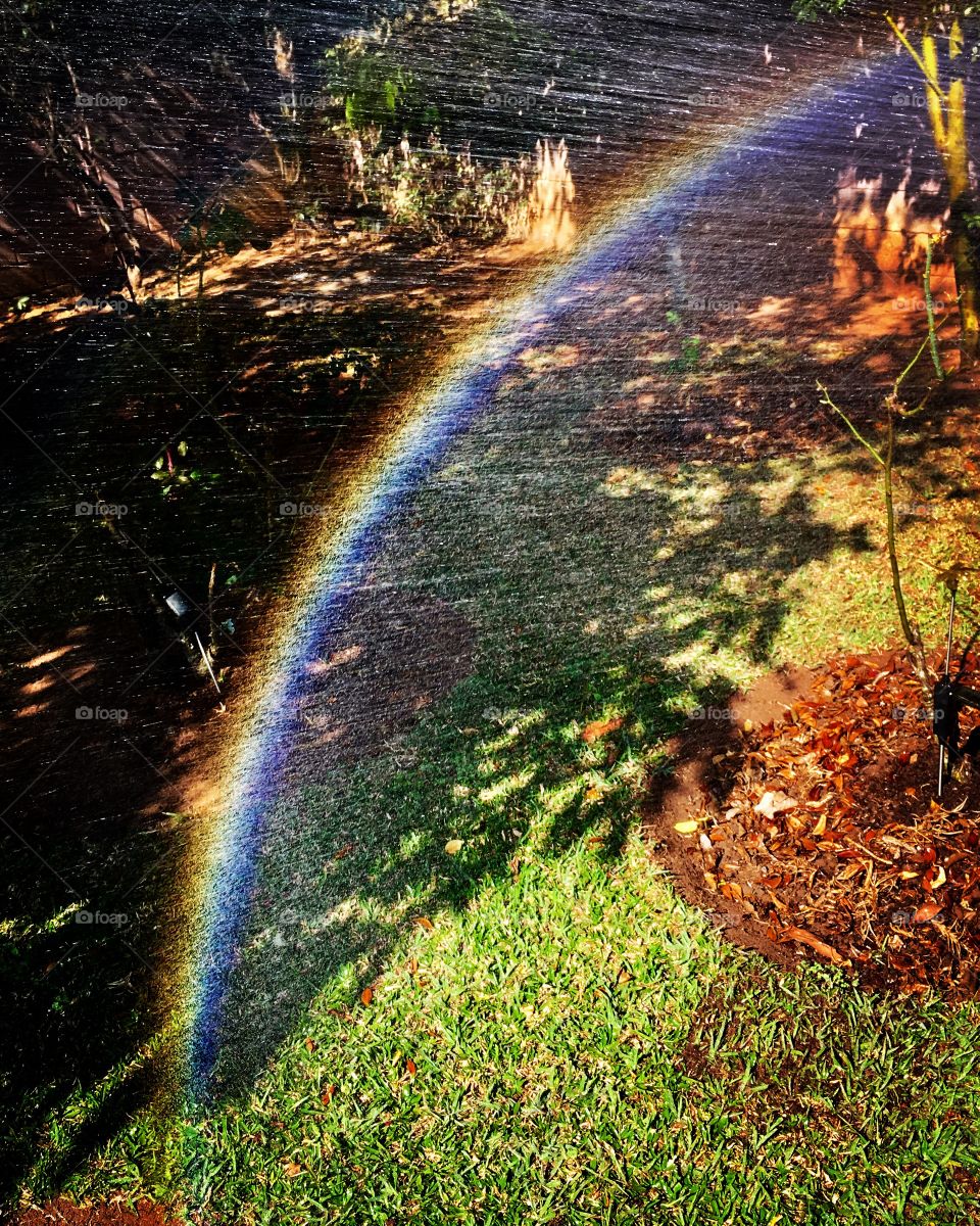  🌈 Olha quem apareceu em nosso canteiro: o #arco-íris!
É só cuidar bem do #jardim que ele nos devolve em beleza.
🌲 
#natureza
#rainbow
#fotografia