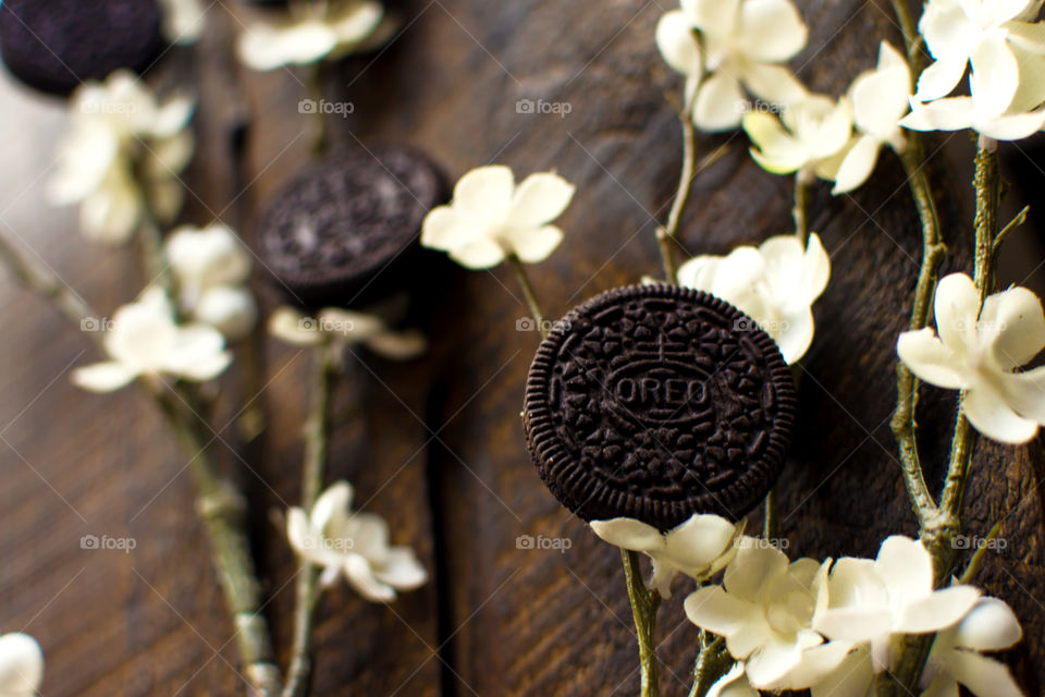 Spring cherry blossom conceptual Oreo cookie art photography 