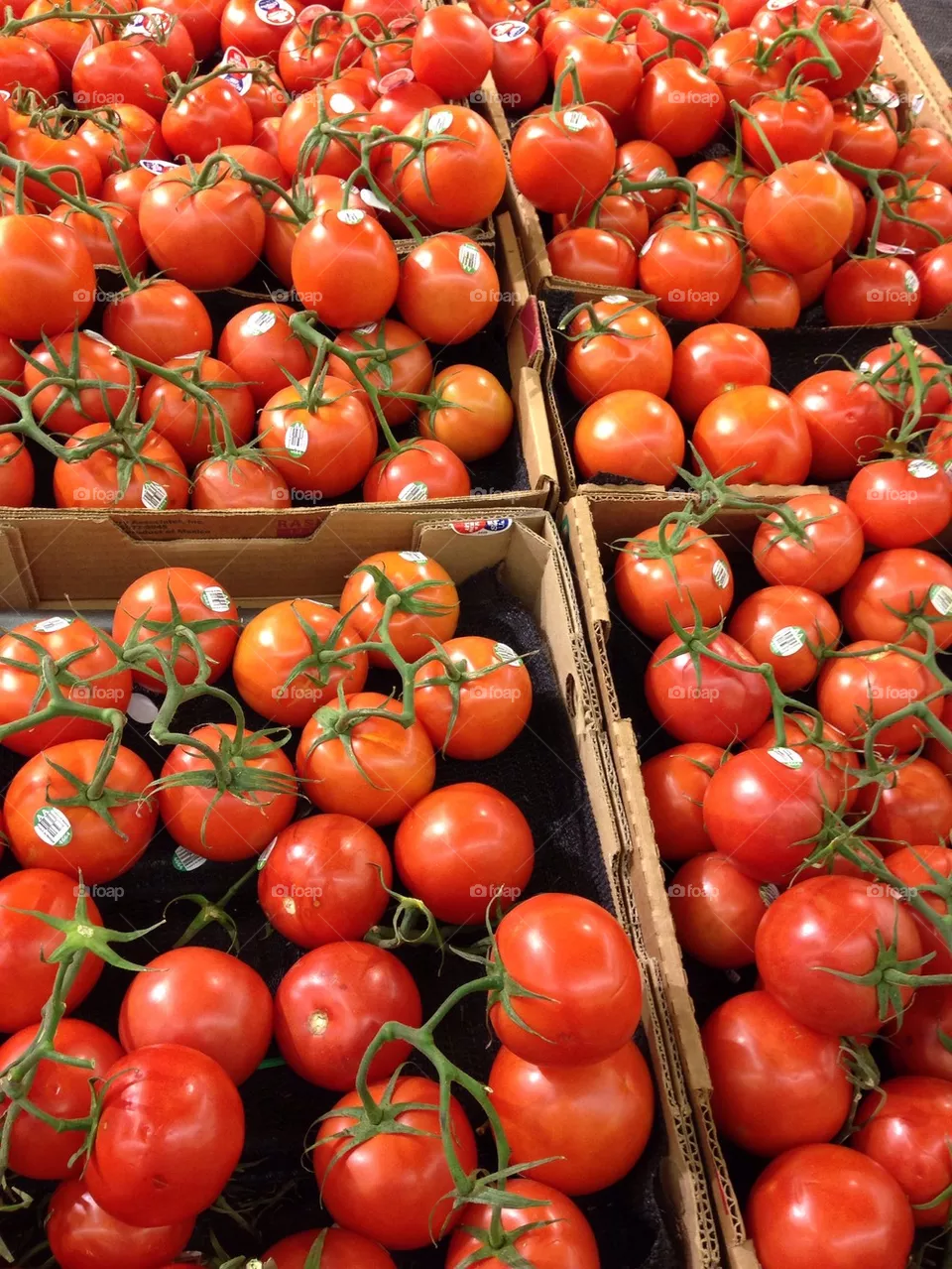 Tomatoes