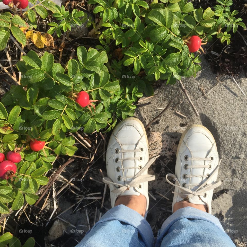 Standing on the beach