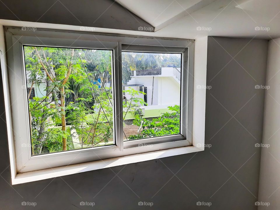 Rectangle Shaped Window