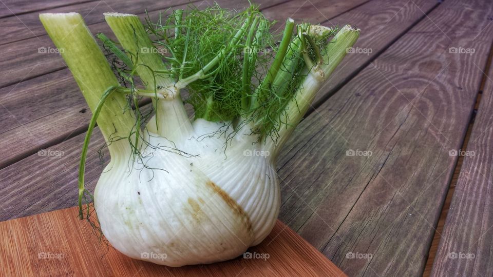 Fresh Fennel Bulb