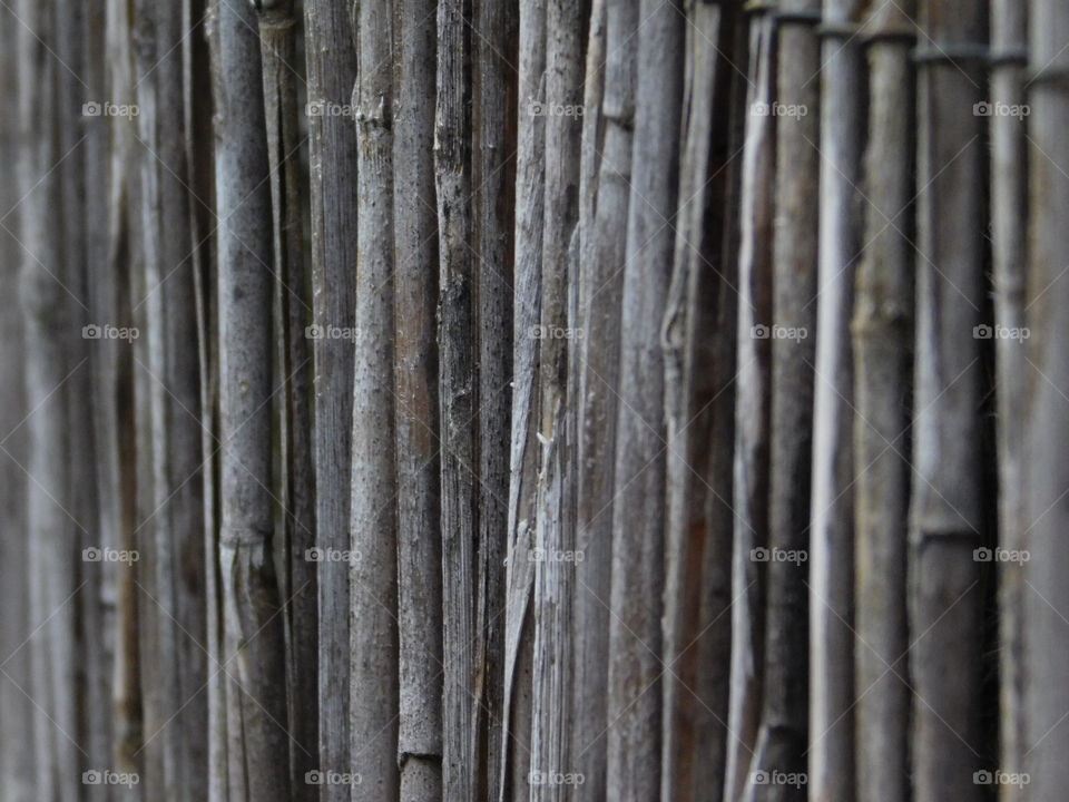 Bout de bois formant un mur 