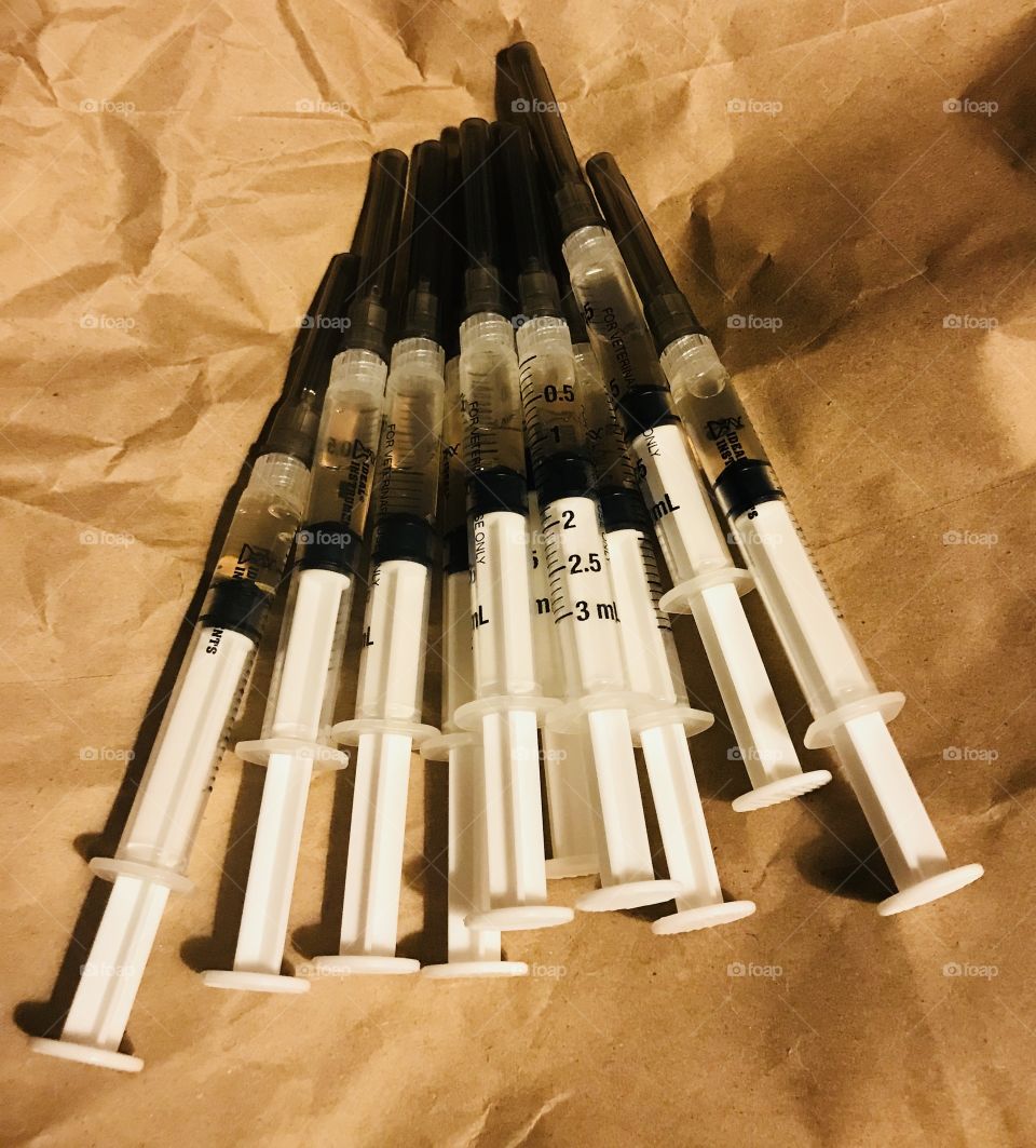 Time to give the puppies their shots!