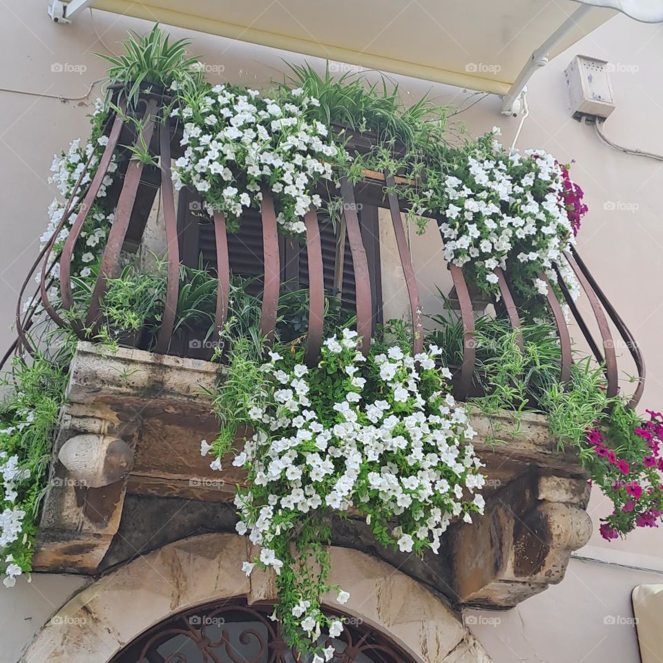floral balcony
