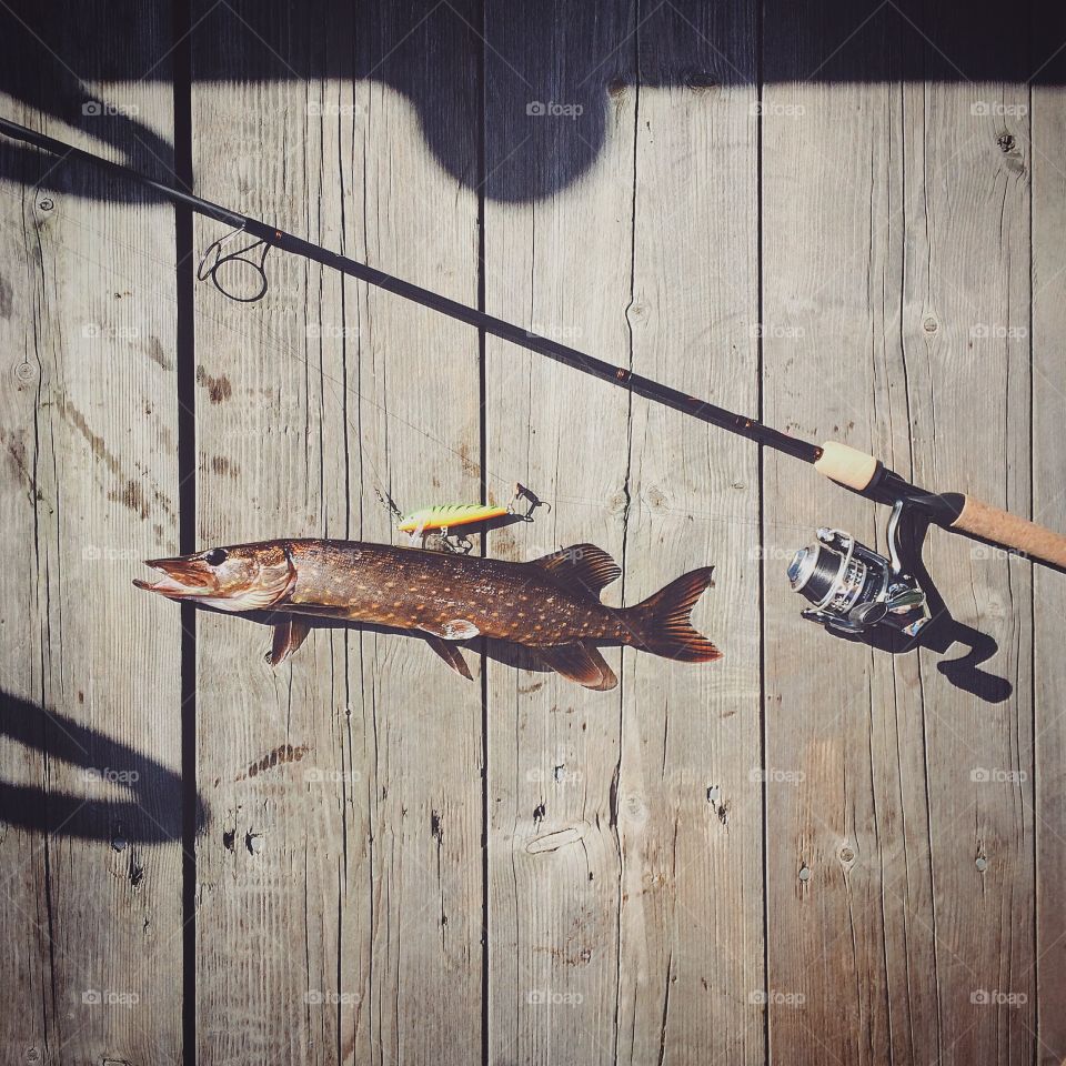 Fishing in the Swedish forest