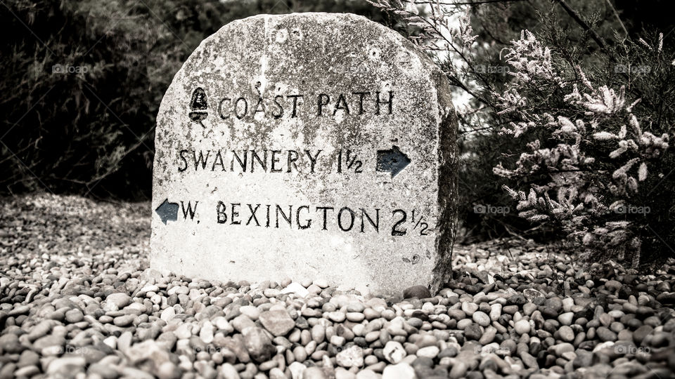 Milestone. Milestone