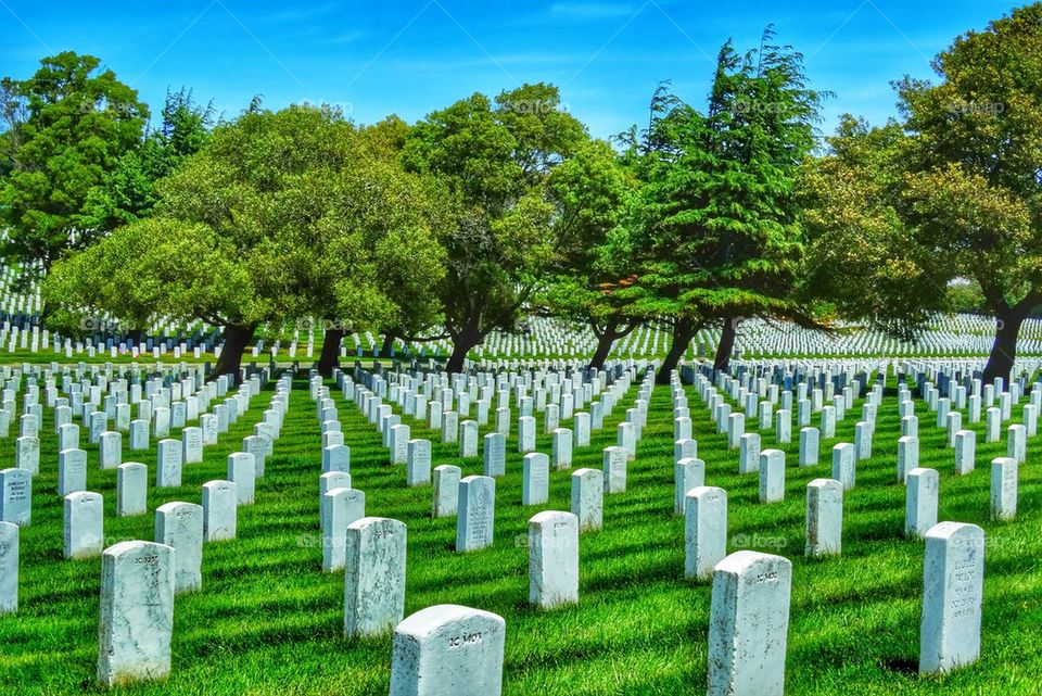 War memorial cemetery