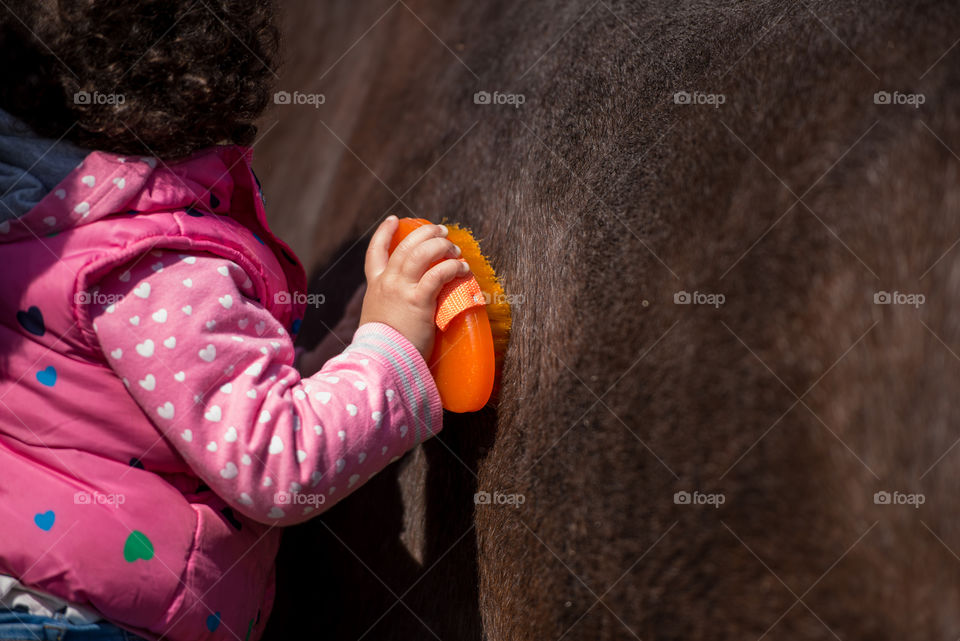 baby brushing a horse